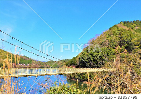 津風呂湖春の風景 83857799