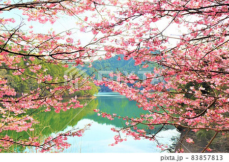 津風呂湖春の風景 83857813