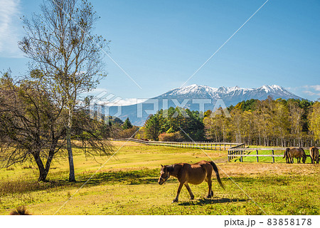 《長野県》開田高原 木曽馬の里 《長野県》開田高原 木曽馬の里 83858178