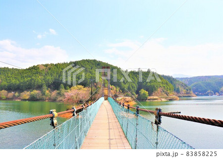 津風呂港春の風景 津風呂港春の風景 83858225