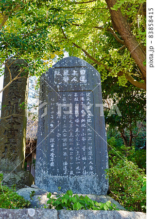 鎌倉 安国論寺 鎌倉 安国論寺 83858415