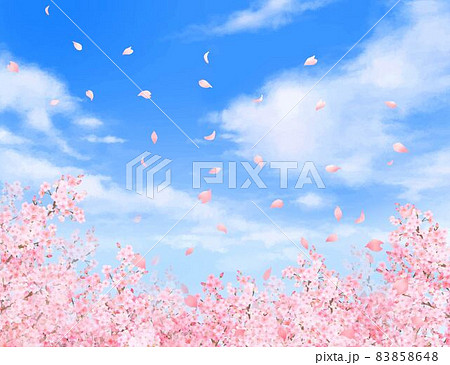 Beautiful And Gorgeous Cherry Blossoms And Stock Illustration