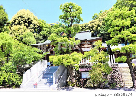 大阪狭山市・狭山神社 大阪狭山市・狭山神社 83859274