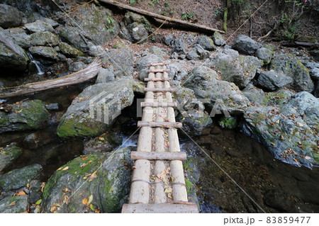 2021年11月の埼玉県秩父の両神山の登山 83859477