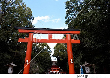 京都 新春の下鴨神社 南口 鳥居 京都 新春の下鴨神社 南口 鳥居 83859908