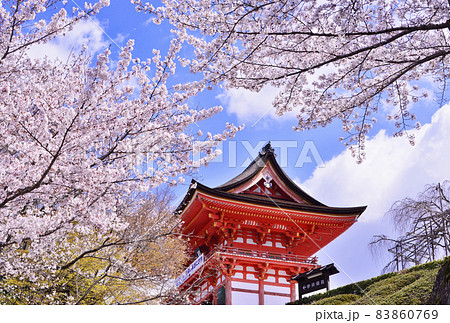 清水寺と桜　京都の桜名所　春の京都観光スポット 83860769