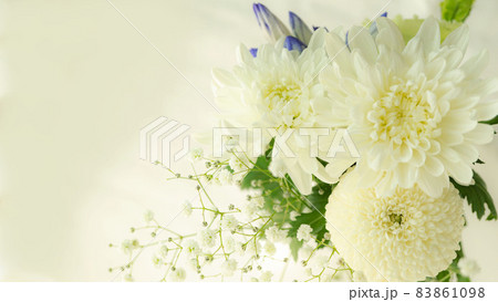白い菊中心の花束画像【喪中イメージ仏花】背景白系 余白有り 白い菊中心の花束画像【喪中イメージ仏花】背景白系 余白有り 83861098