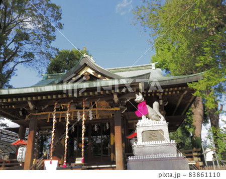 馬橋稲荷神社　東京都杉並区 83861110