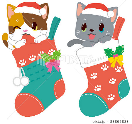 サンタ帽をかぶり靴下に入ったグレーとミケ子猫のクリスマス 83862883