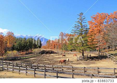 秋の開田高原　木曽馬の里 83863733