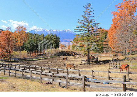 秋の開田高原 木曽馬の里 秋の開田高原 木曽馬の里 83863734