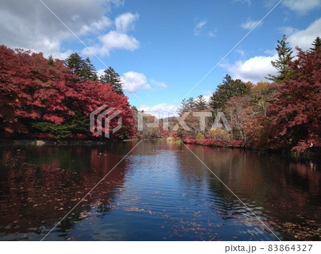 長野県雲場池の紅葉 83864327