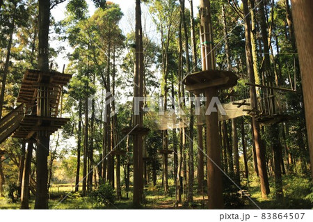 行楽、泉自然公園 行楽、泉自然公園 83864507