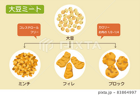 様々な形状の大豆ミートのイラスト 大豆 ミンチ フィレ ブロック のイラスト素材