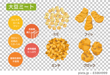 様々な形状の大豆ミートのイラスト 大豆 ミンチ フィレ ブロック のイラスト素材