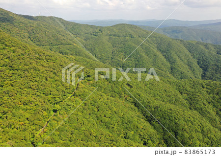 奄美の湯湾岳展望公園の上空から 83865173