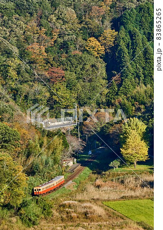 俯瞰の銀杏の紅葉と上総大久保駅　小湊鉄道 83865265
