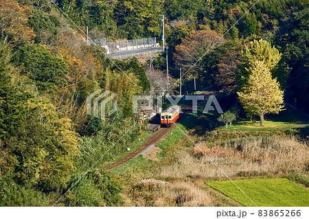 俯瞰の銀杏の紅葉と上総大久保駅　小湊鉄道 83865266