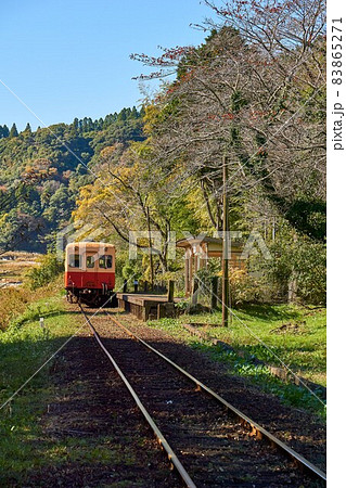 銀杏の紅葉とレトロ列車　小湊鉄道　上総大久保駅 83865271