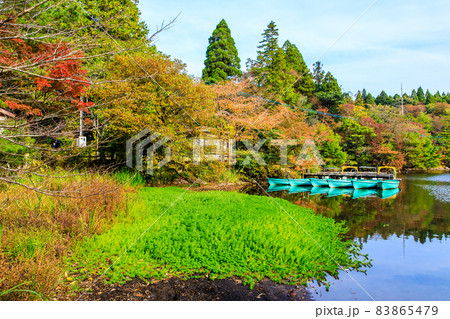 白雲の池の紅葉 【長崎県雲仙市】 白雲の池の紅葉 【長崎県雲仙市】 83865479