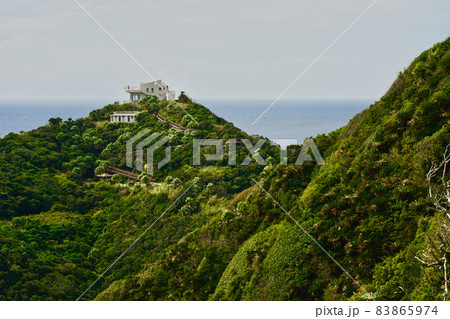 佐多岬展望台とその道のり 83865974