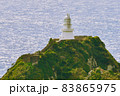 佐多岬灯台 (日本本土最南端先の小島の灯台) 83865975