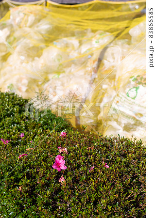 ゴミ　可燃ごみ 83866585