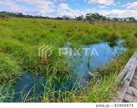 【世界遺産】北海道 釧路湿原 【世界遺産】北海道 釧路湿原 83866878