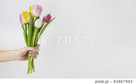 hand holding tulips bouquet. High quality beautiful photo concept 83867903