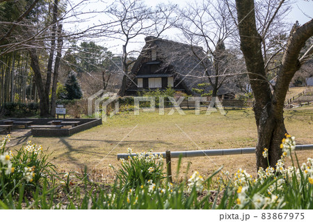 服部緑地 日本民家集落博物館 服部緑地 日本民家集落博物館 83867975