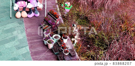 カフェテリア ガーデン 庭園 83868207