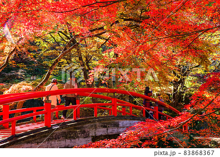 伊香保温泉・河鹿橋と紅葉【群馬県】 伊香保温泉・河鹿橋と紅葉【群馬県】 83868367
