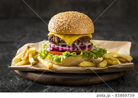 front view burger fries plate. High quality beautiful photo concept 83869739