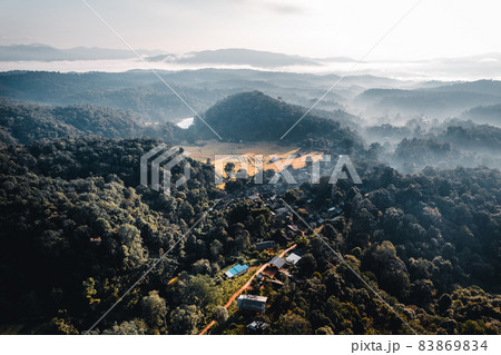 Aerial view of golden rice terrace field in morning Aerial view of golden rice terrace field in morning 83869834