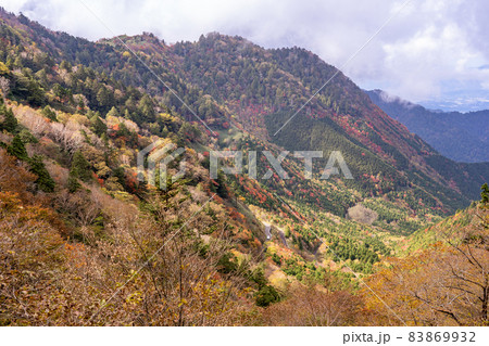 岐阜県と長野県の県境 神坂峠付近からの紅葉の山と道路 岐阜県と長野県の県境 神坂峠付近からの紅葉の山と道路 83869932