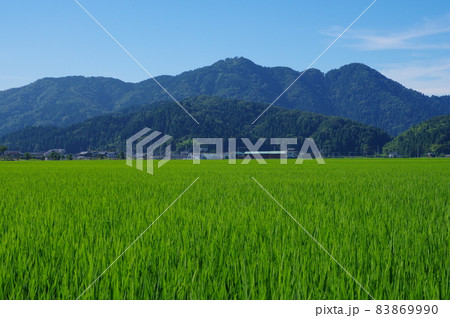 福井市の田園地帯から望む文殊山 83869990