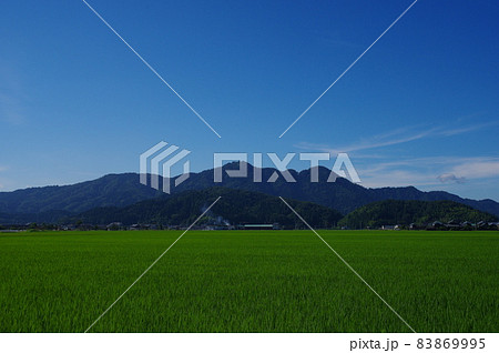 福井市の田園地帯から望む文殊山 福井市の田園地帯から望む文殊山 83869995