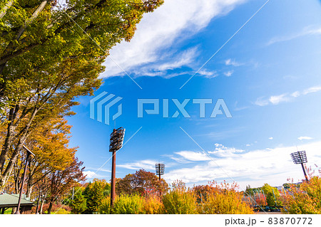 秋の市民球場　東京都八王子市 83870772