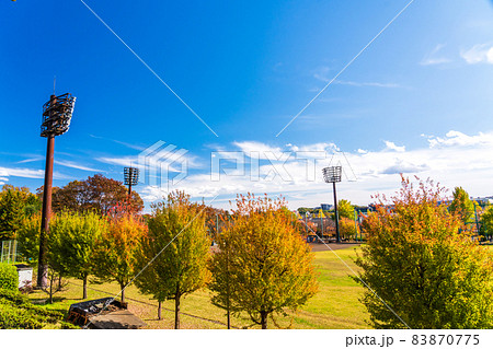 秋の市民球場　東京都八王子市 83870775