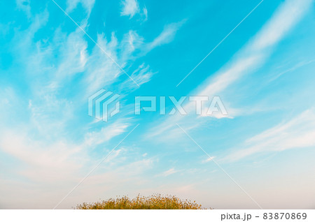 空 雲 屋外 83870869