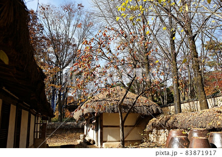 民俗村 韓国 文化財 83871917