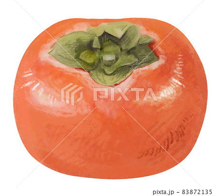 リアルかつ優しいタッチの柿のイラスト（丸ごとver） 83872135