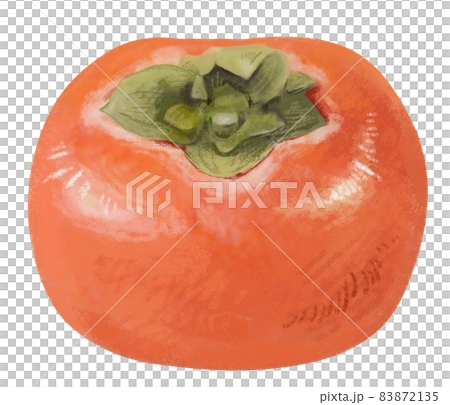 リアルかつ優しいタッチの柿のイラスト（丸ごとver） 83872135