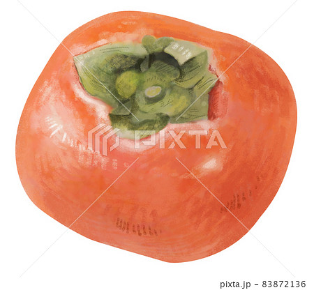 リアルかつ優しいタッチの柿のイラスト（丸ごとver） 83872136