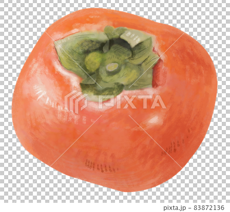 リアルかつ優しいタッチの柿のイラスト（丸ごとver） 83872136