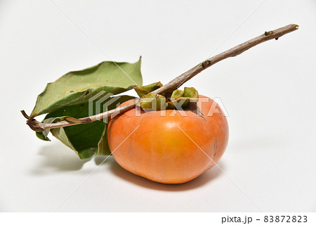 枝葉の付いた柿 83872823