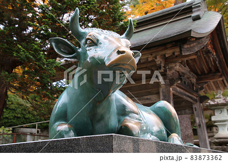 秋の福満虚空蔵尊円蔵寺（福島県・柳津町） 83873362