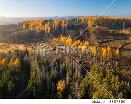 Aerial view of autumn countryside, traditional fall landscape in central Europe 83873664
