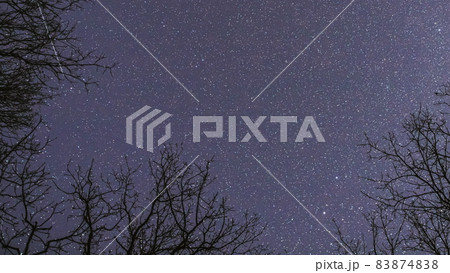 Night Sky Stars Above Oak Trees Branches In Early Spring. Natural Starry Sky Above Woods. Night Sky Background. Timelapse. Night Sky Stars Above Oak Trees Branches In Early Spring. Natural Starry Sky Above Woods. Night Sky Background. Timelapse. 83874838