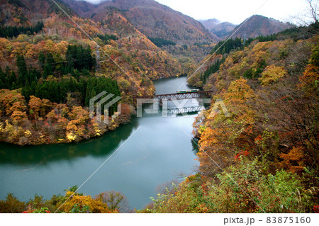 秋の只見線・第3橋梁(福島県・三島町) 秋の只見線・第3橋梁(福島県・三島町) 83875160